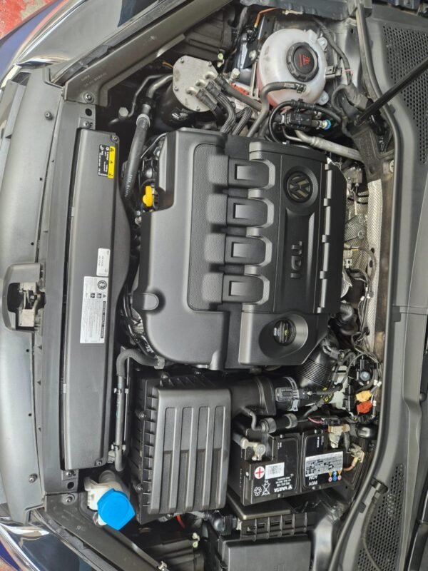 VOLKSWAGEN Golf ADVANCE 1.6 TDI