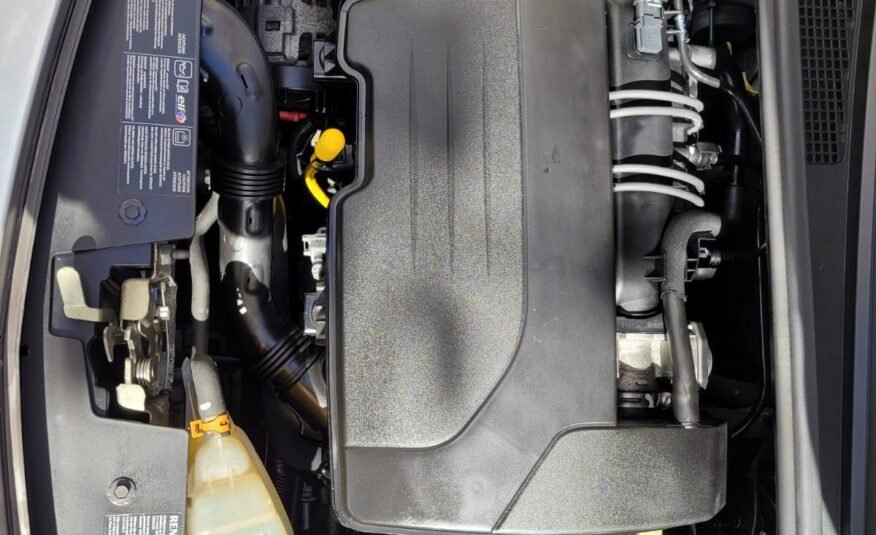 RENAULT Clio RIPCURL 1.2